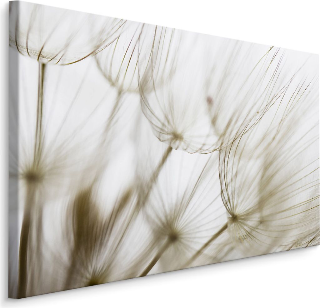 Fabelhafte Canvas LEINWAND BILDER 90x60 cm XXL Kunstdruck Natur Blumen Pusteblume
