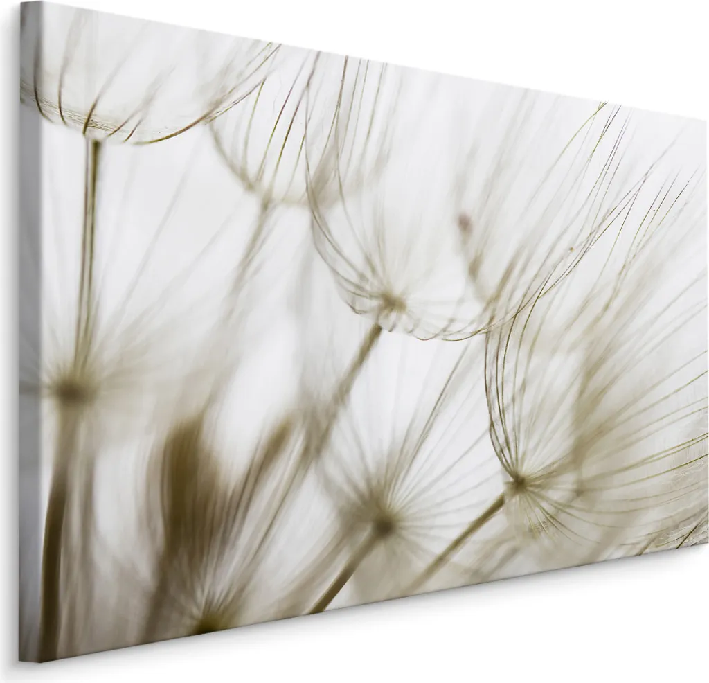 Carta da Parati 100x70 Fiori Soffione XXL - Facile da Applicare