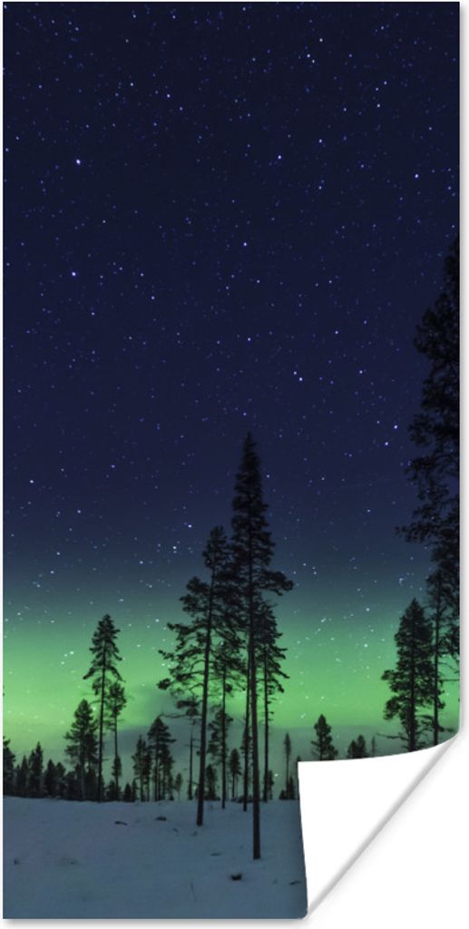 MuchoWow Poster Nordlicht - Schnee - Bäume - Natur - Grün 80x160 cm - Kinderzimmer