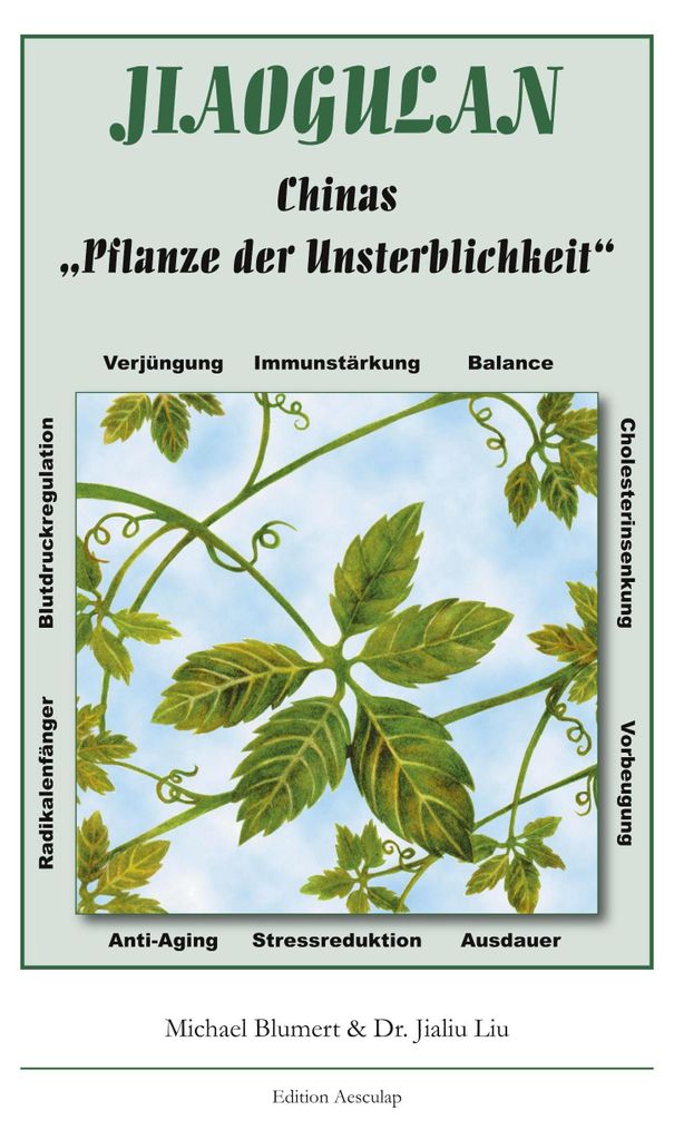 Jiaogulan, Chinas Pflanze der Unsterblichkeit