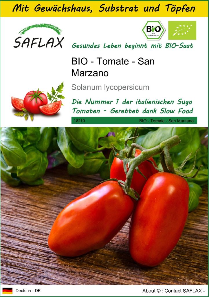 SAFLAX Anzucht Set - BIO - Tomate - San Marzano - Solanum lycopersicum - 15 Samen - Mit Mini-Gewächshaus, Anzuchtsubstrat und 2 Töpfen