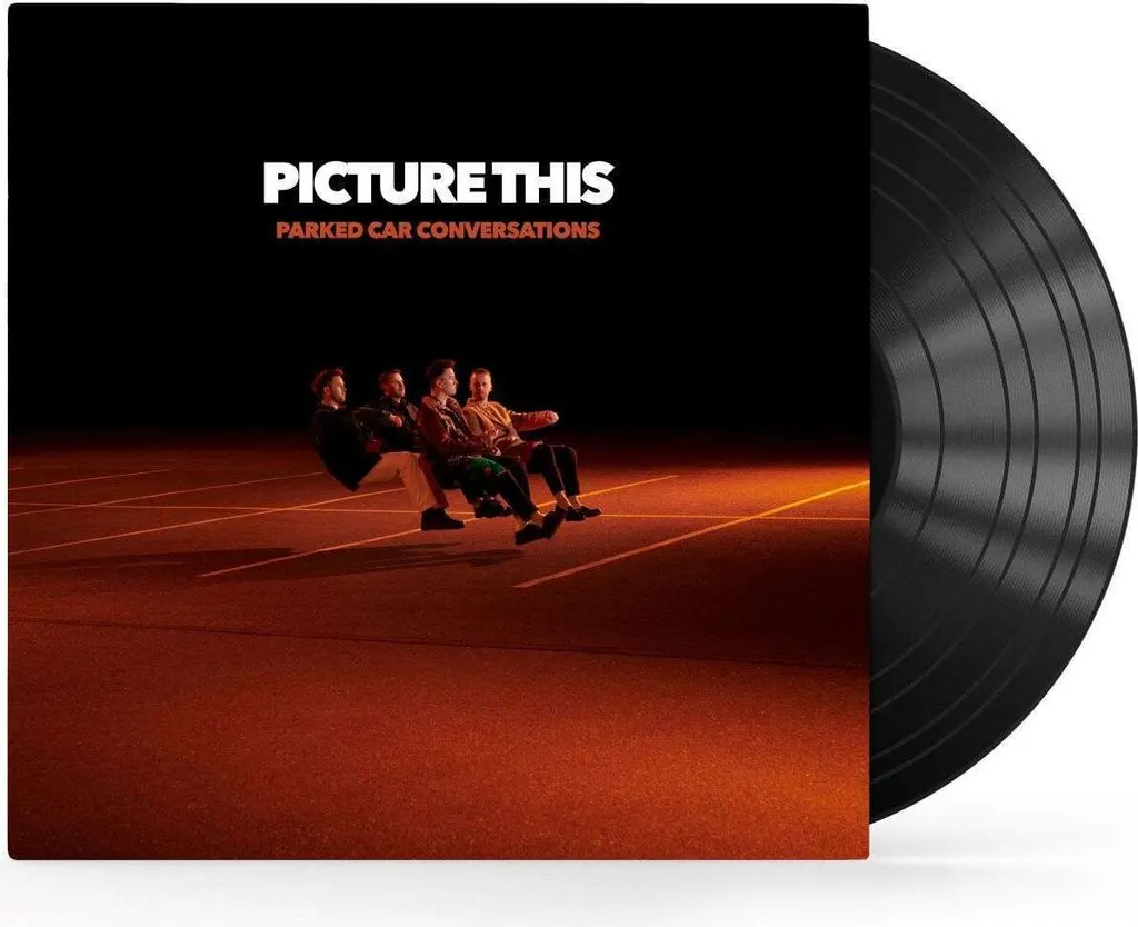 Son Audiophile Picture This Parked Car Conversations Vinyle 180g 2 LP