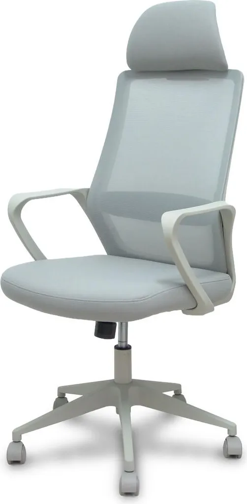 Siège de bureau ergonomique Foröl 053PGRN gris avec support cervical fixe
