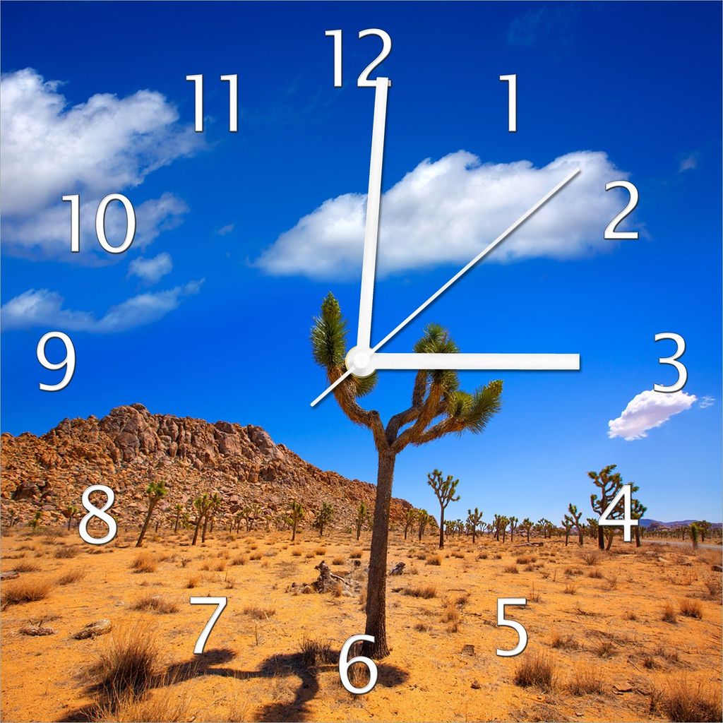 Wallario Design Wanduhr Palmlilie im Nationalpark Yucca Valley Wüstenlandschaft aus Echtglas, Größe 30 x 30 cm