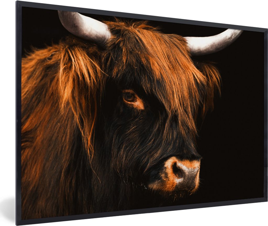 MuchoWow Gerahmtes Poster Schottischer Highlander - Schwarz - Kuh - Horn - Tiere 60x40 cm - Poster mit Schwarzem Bilderrahmen Wandposter Rahmen F...