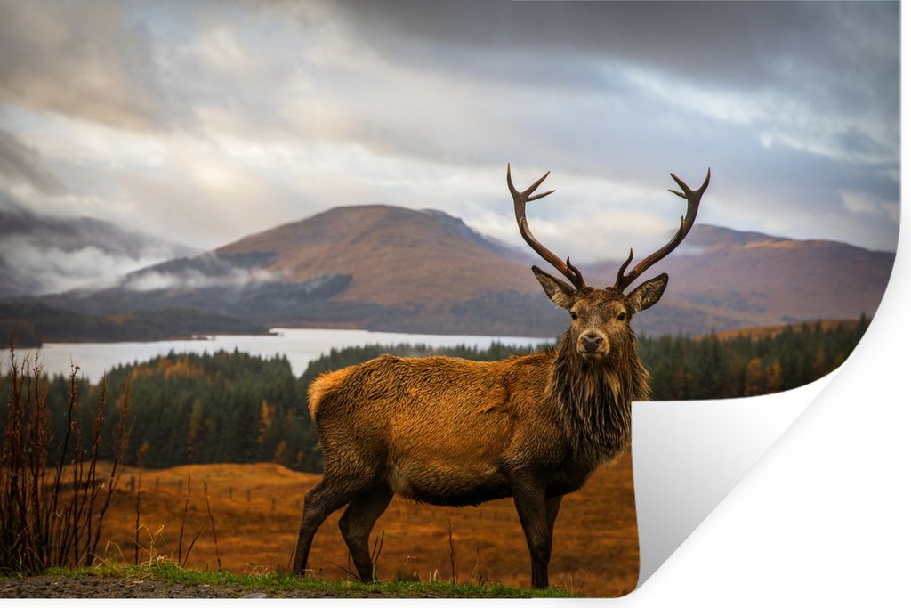 MuchoWow - Aufkleber