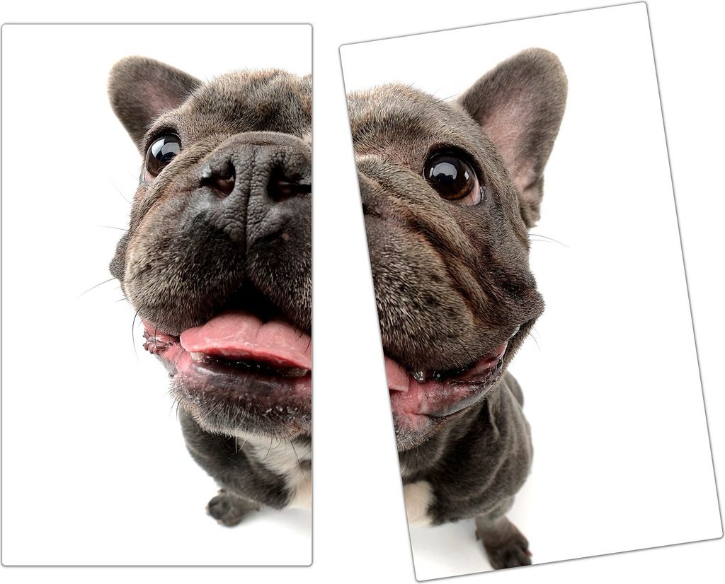 Spritzschutz Herdabdeckplatte Schneidebrett aus Glas Bulldogge von Nahemn 2-Teilig (60x52cm)