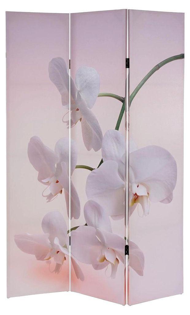 Foto-Paravent, Paravent Trennwand 180x120cm - Orchidee