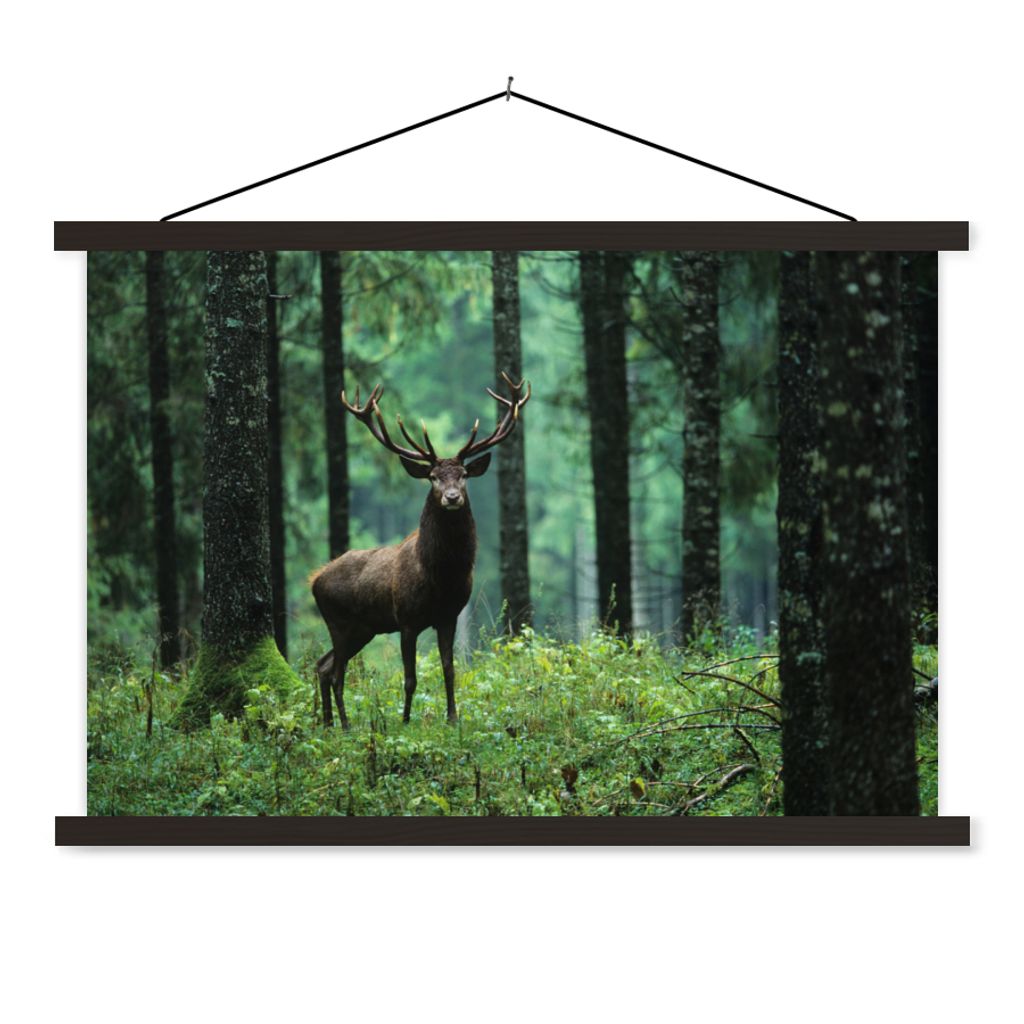MuchoWow Textilposter Hirsche - Wald - Bäume - Tiere - Natur 150x100 cm mit schwarzem Rahmen - Schlafzimmer