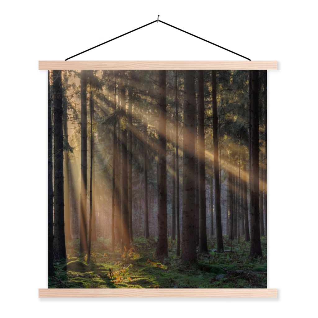 MuchoWow Textilposter Bäume - Wald - Sonne - Pflanzen 40x40 cm mit holzfarbenen Rahmen - Posterleiste