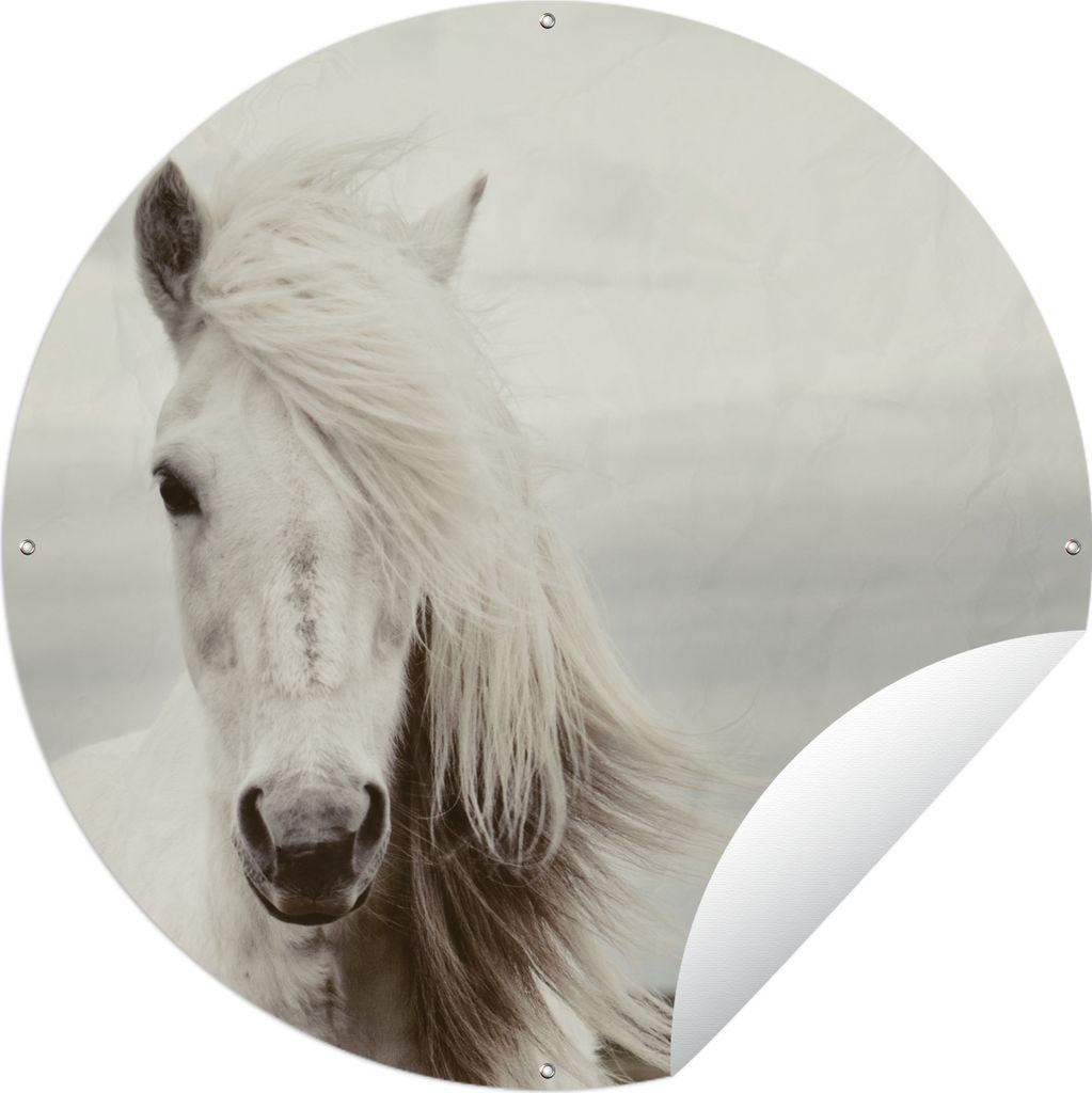 MuchoWow Gartenposter Outdoor-Poster Rund Pferd - Strand - Mähne Ø 150 cm Gartendeko Rundes Poster draußen