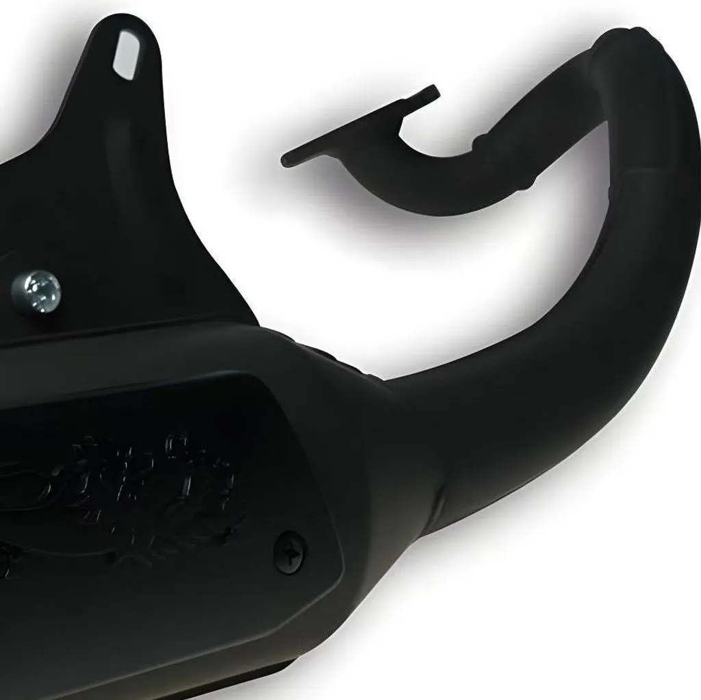 Pot d'échappement scooter Malossi Wild Lion pour Nitro et Aerox 50cc