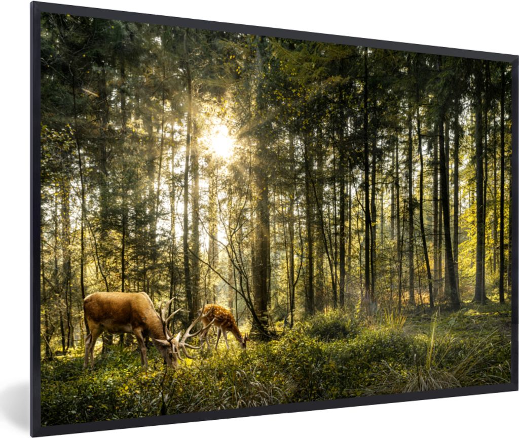 MuchoWow® MuchoWow® Gerahmtes Poster Hirsche - Natur - Wald Produktbild 