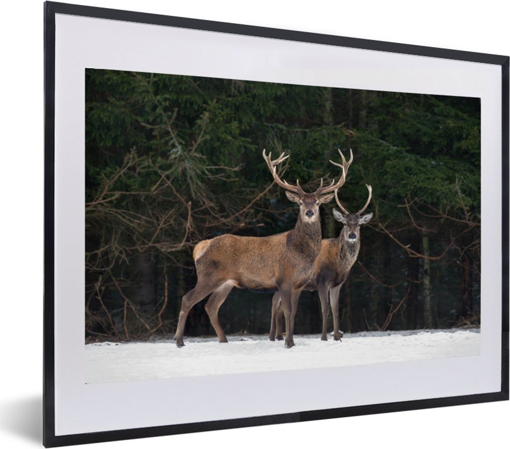 MuchoWow MuchoWow Gerahmtes Poster Rotwild - Schnee - Wald 60x40 cm - Poster mit zchwarzem Bilderrahmen - Schlafzimmer - Plakat in Rahmen - Dru...