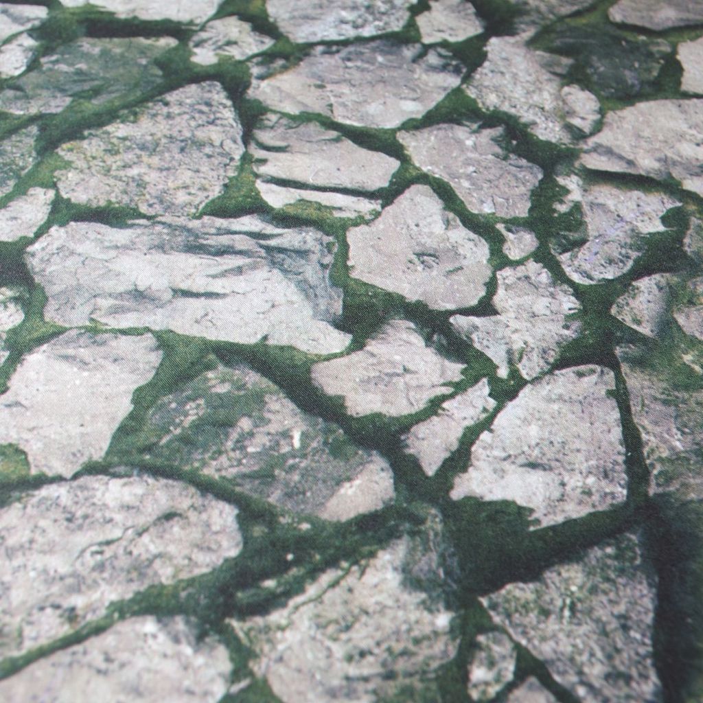 Sitzkissen 6Motive Fotodruck mit Naturmotiv 39x39x4cm Stuhlkissen