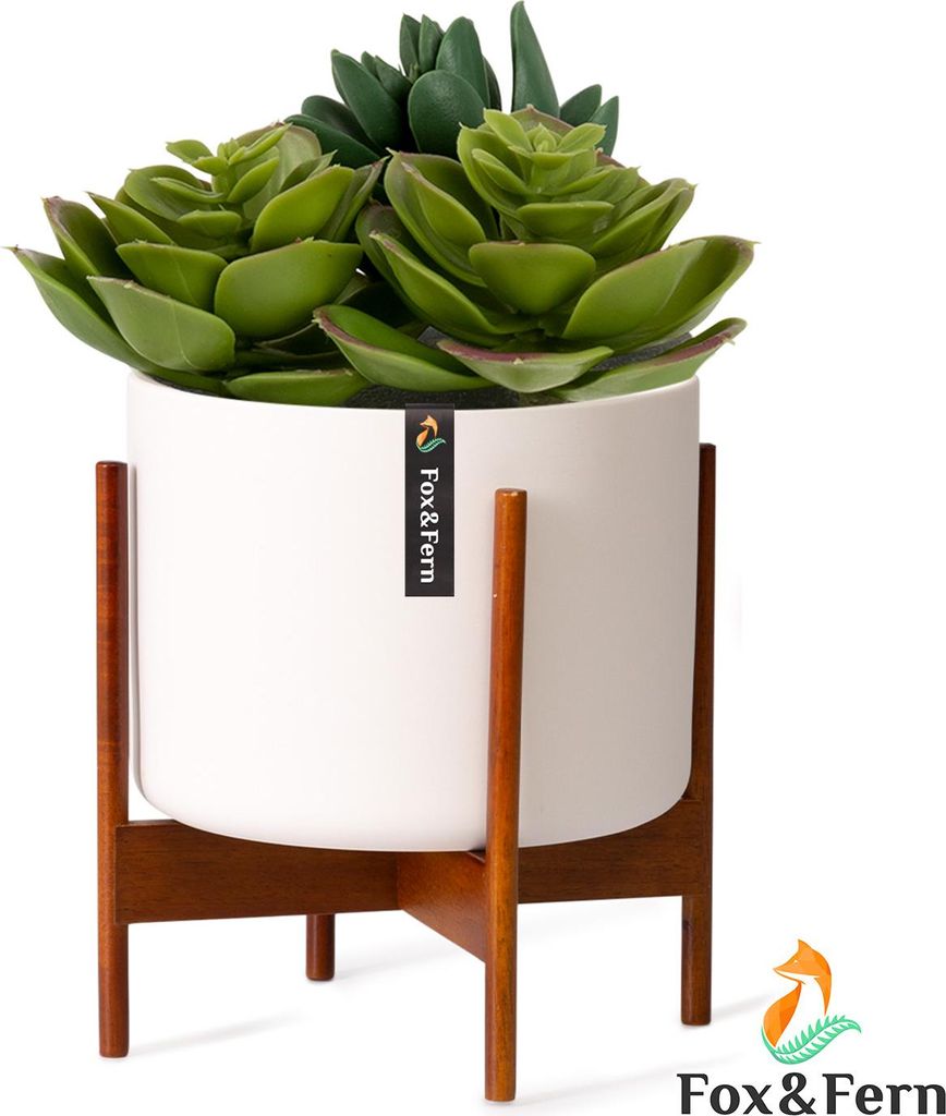 Fox & Fern Porte Plante Interieur, Support de Plantes en Image du produit 