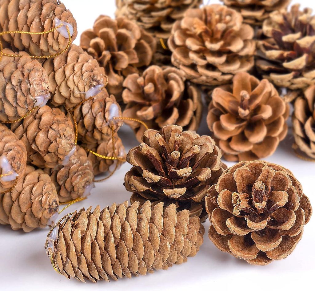 36 Tannenzapfen - Tannenzapfen - 4 - 6 cm & 6 - 8 cm Tannenzapfen - Primärfarbe Weihnachts-Tannenzapfen - Weihnachtsdekoration - Adventsdekoration...
