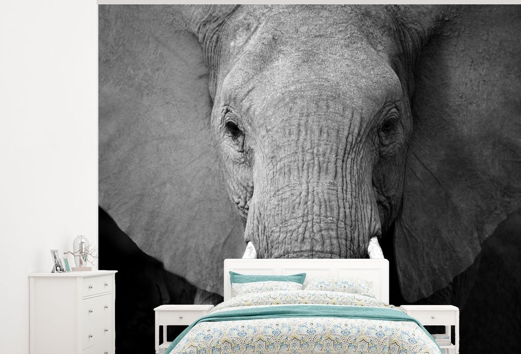 MuchoWow Fototapete für Wohnzimmer oder Schlafzimmer Wandtapete Vinyl Motivtapete Nahaufnahme eines Elefanten - schwarz und weiß - 300x240 cm -...