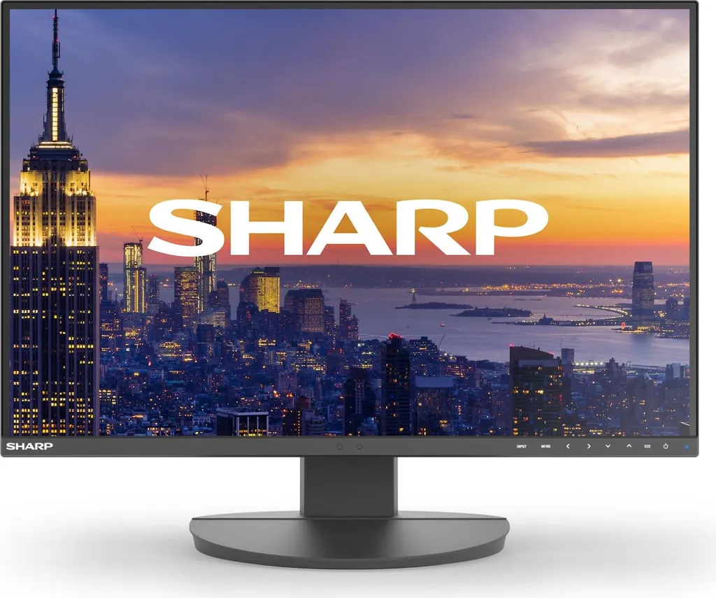 Écran de bureau 24 pouces Sharp MultiSync EA242W pour PC