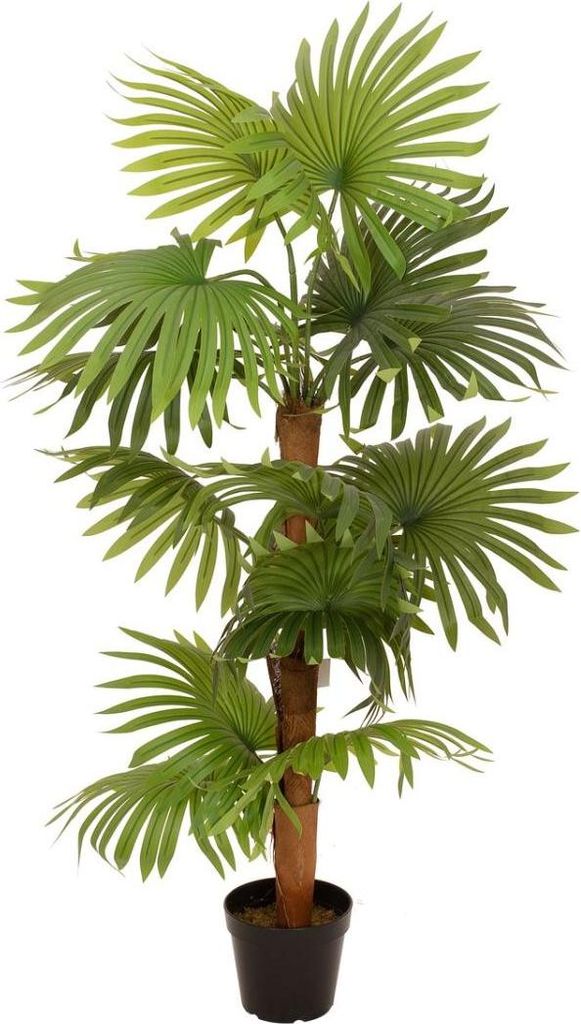 artplants.de Kunststoff Palme Livistona rotundifolia GHADA, 130cm - Künstliche Palme