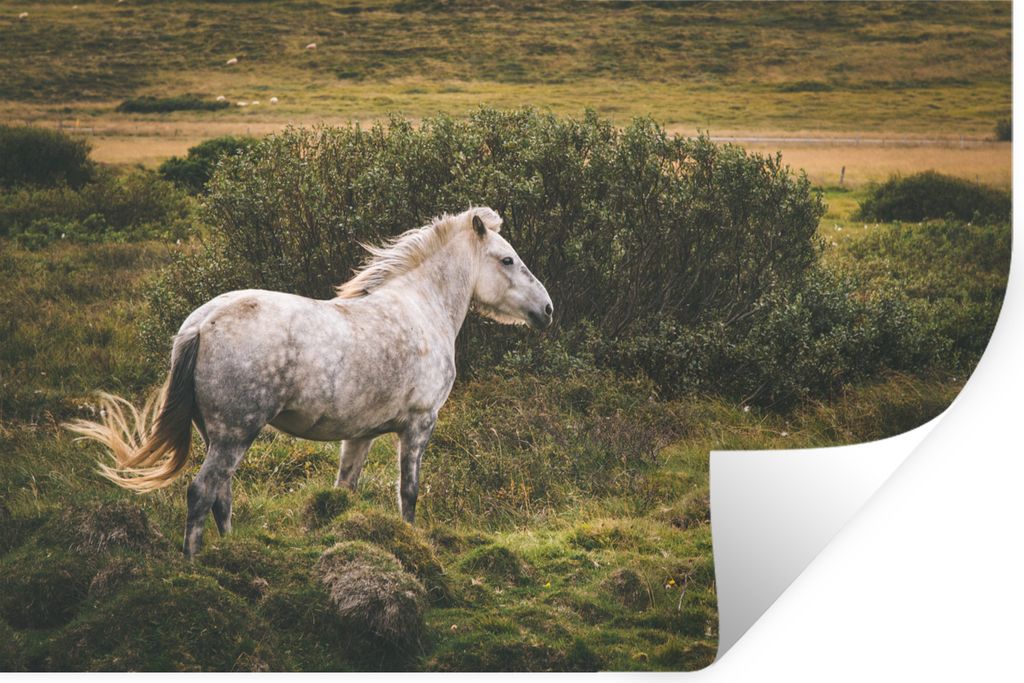MuchoWow - Selbstklebend - Fototapeten