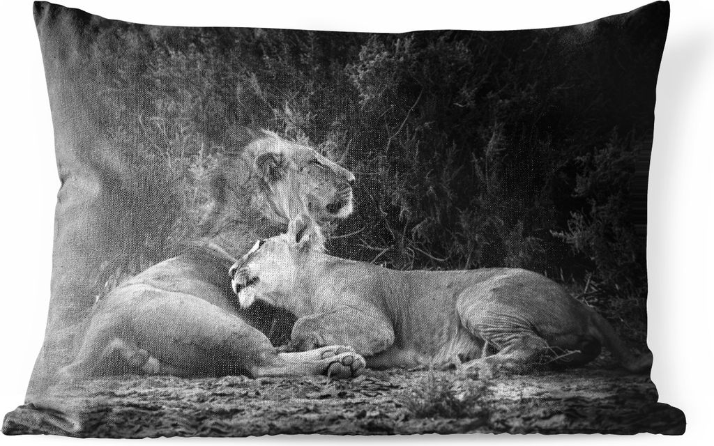 MuchoWow Outdoor Kissen - Löwen - Schwarz - Wilde Tiere - 50x30 cm - Wetterfest - Lounge Kissen - Sofa kissen - Wohnzimmer Dekoration