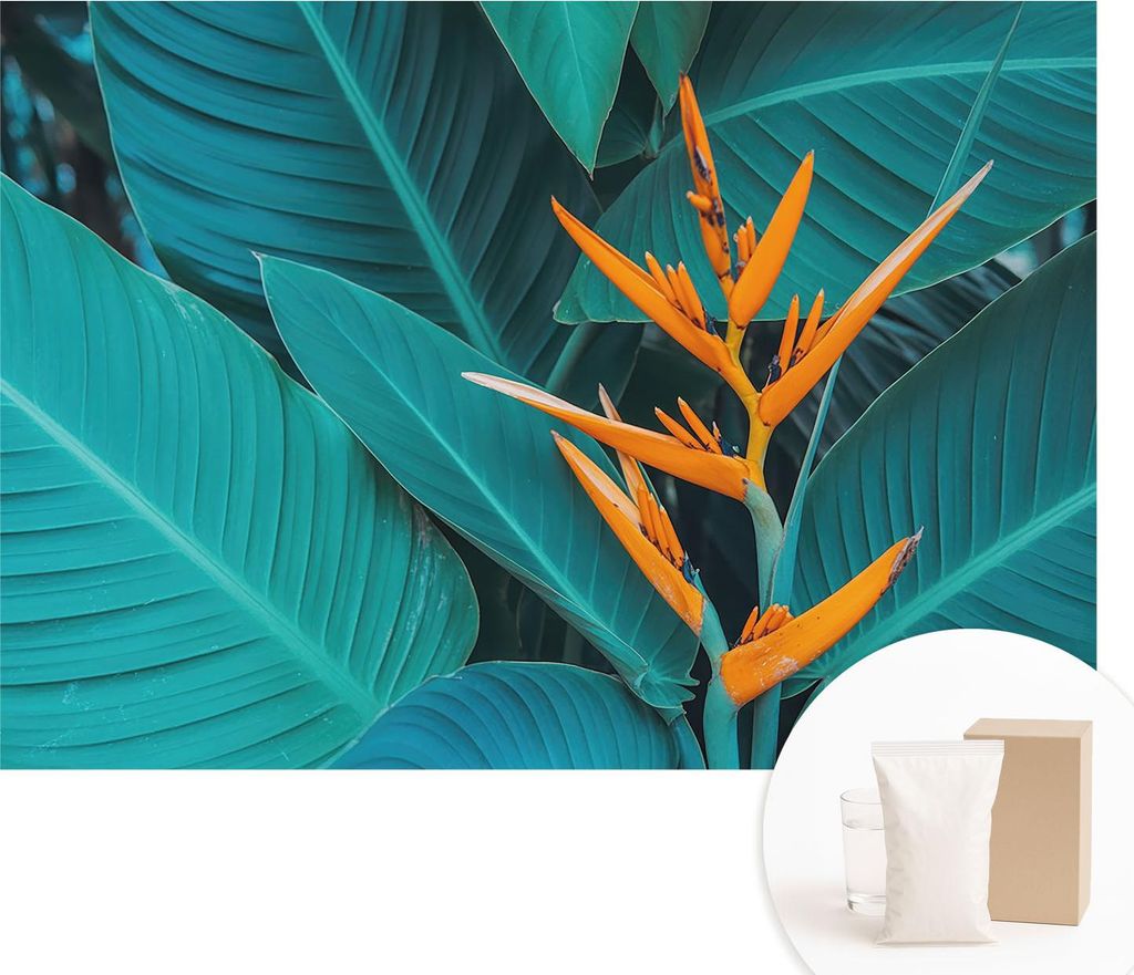 Fototapete - Wandbilder für Wohnzimmer - 312x219 cm - Dekorative Wandfolie - Modernes Design für Wanddekoration - Tapeten für Innenräume - Blat...