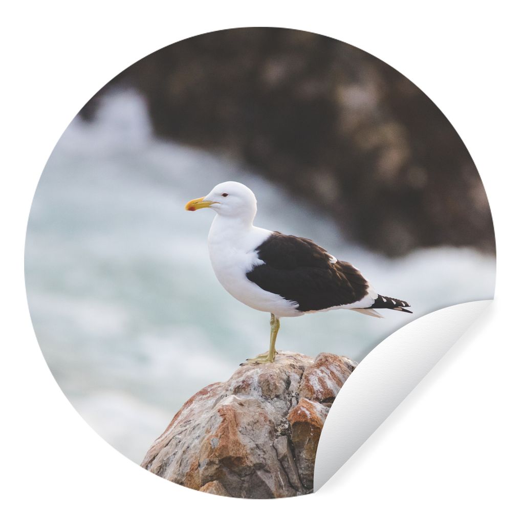MuchoWow Runde Wandtattoo - Wandsticker Tapete Aufkleber Möwe - Stein - Wasser Ø 100 cm Selbstklebend und Repositionierbar - Wandaufkleber - Kr...