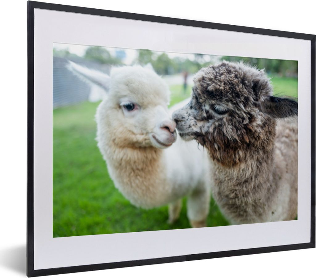 MuchoWow MuchoWow Gerahmtes Poster Liebe - Alpaka - Stofftier 40x30 cm - Poster mit zchwarzem Bilderrahmen - Bilderrahmen - Poster im Rahmen