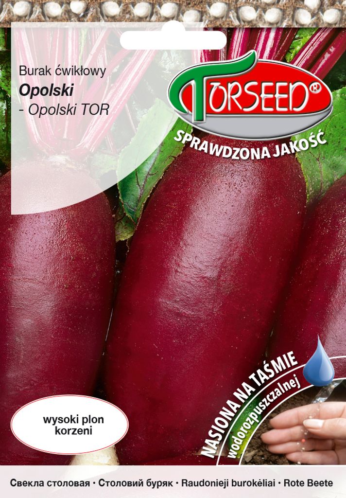 Opole Rote Bete Samen 100 Stück - Torseed