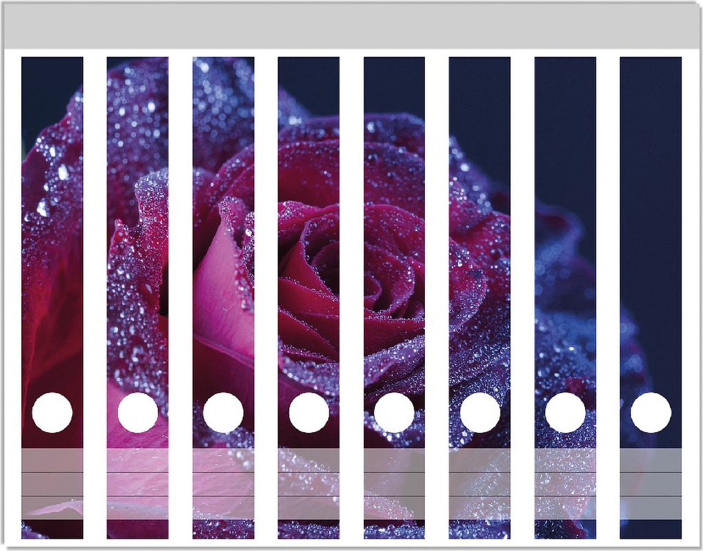Wallario Ordnerrücken Sticker, selbstklebend für schmale Ordner, 8 Stück, Motiv Rote Rosenblüte im Regen