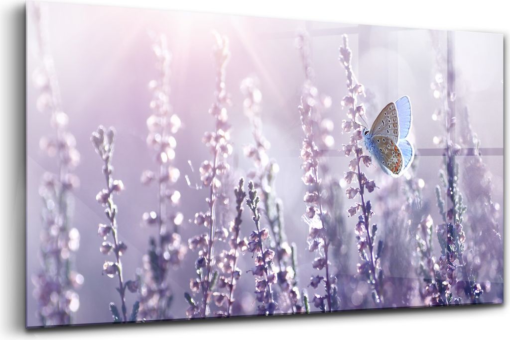 120x60 - Glasbilder - Bilder auf Wandbild - Foto auf Glas - Schönheit Blick auf die Details