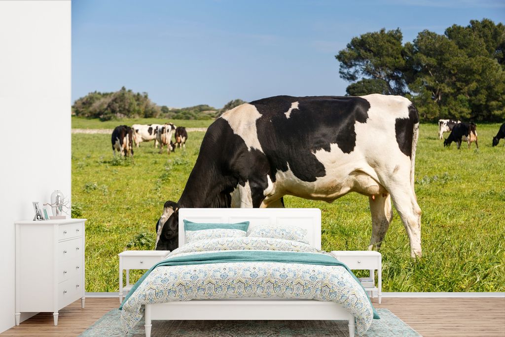 MuchoWow Fototapete für Wohnzimmer oder Schlafzimmer Wandtapete Vinyl Motivtapete Kuh - Gras - Tiere - Wald - 525x350 cm - Das Hintergrundbild