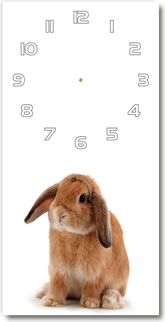 Wanduhr aus Glas – 30x60 cm - Glasbild - Glasuhr - Gehärtetes Glas -Kaninchen