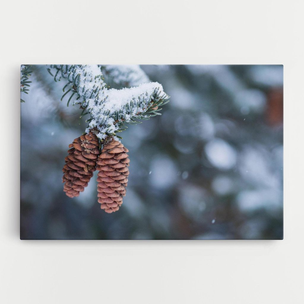 ARTHUB Leinwandbild 30x40 cm, Winter Cones | Wohnzimmerdekoration, Hängende Bilder, Wanddekoration, Heimdekoration, Landschaften, Winter