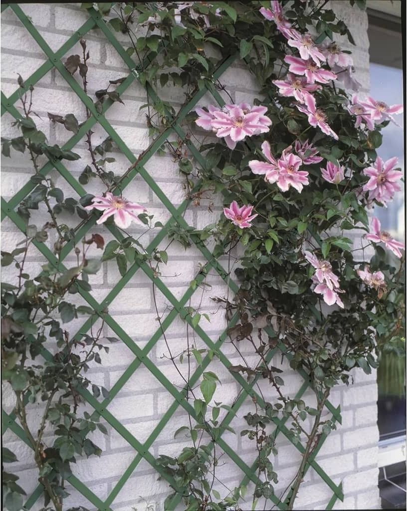 Traliccio da giardino Nature 100x200 cm PVC verde 6040704 Immagine del prodotto 