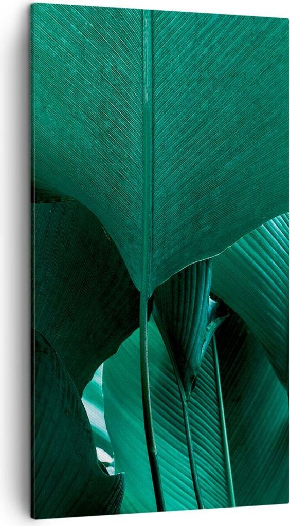 Bild auf Leinwand - Leinwandbild - Einteilig - Blätter Palmen Banane - 45x80cm - Wand Bild - Wanddeko - Wandbilder - Leinwanddruck - Bilder - Wand...