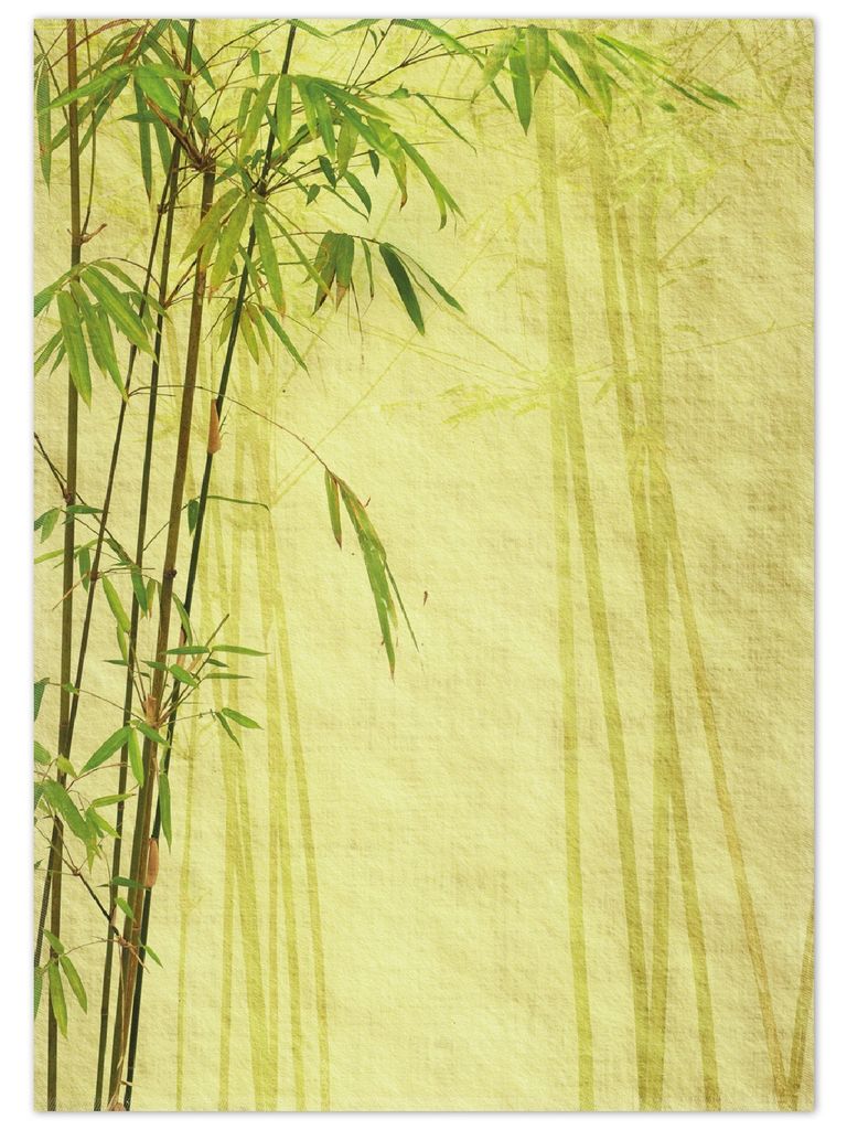 Wallario Premium Teppich, Größe 50 x 70 cm, Antiker Bambus