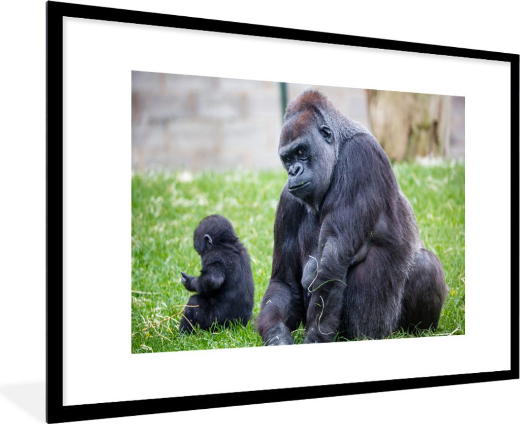 MuchoWow Gerahmtes Poster Ein großer Gorilla mit seinem Baby 90x60 cm - Poster mit Schwarzem Bilderrahmen Wandposter Rahmen Foto Bilder - Wandde...