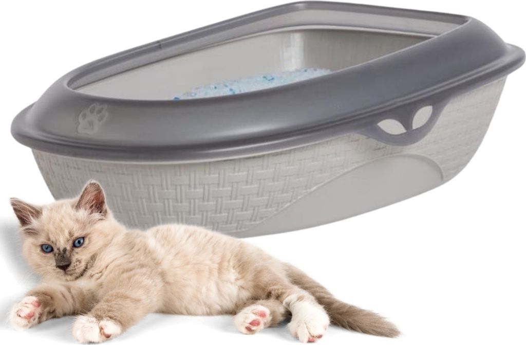 Katzentoilette XXL 60 cm Rattan Optik Katzenklo Katzen Schalen Toilette WC Rand