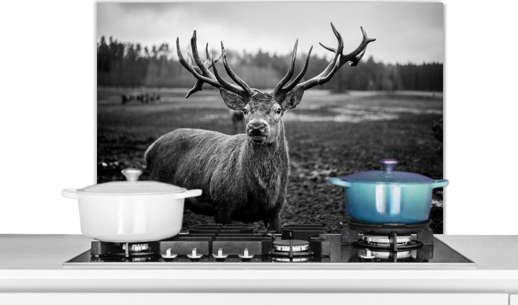 KitchenYeah Spritzschutz Küche - Küchenrückwand - Wandschutz für Herd und Spüle - Tiere - Hirsch - Geweih - Schwarz und weiß - Natur 80x55...
