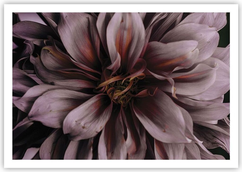 Poster - Poster ohne Rahmen - Blumenstrauß Künstlerisch Blume - 100x70 cm - Wand Bild - Wanddeko - Wandbilder - Kunstposter - Wandposter - Bilder...
