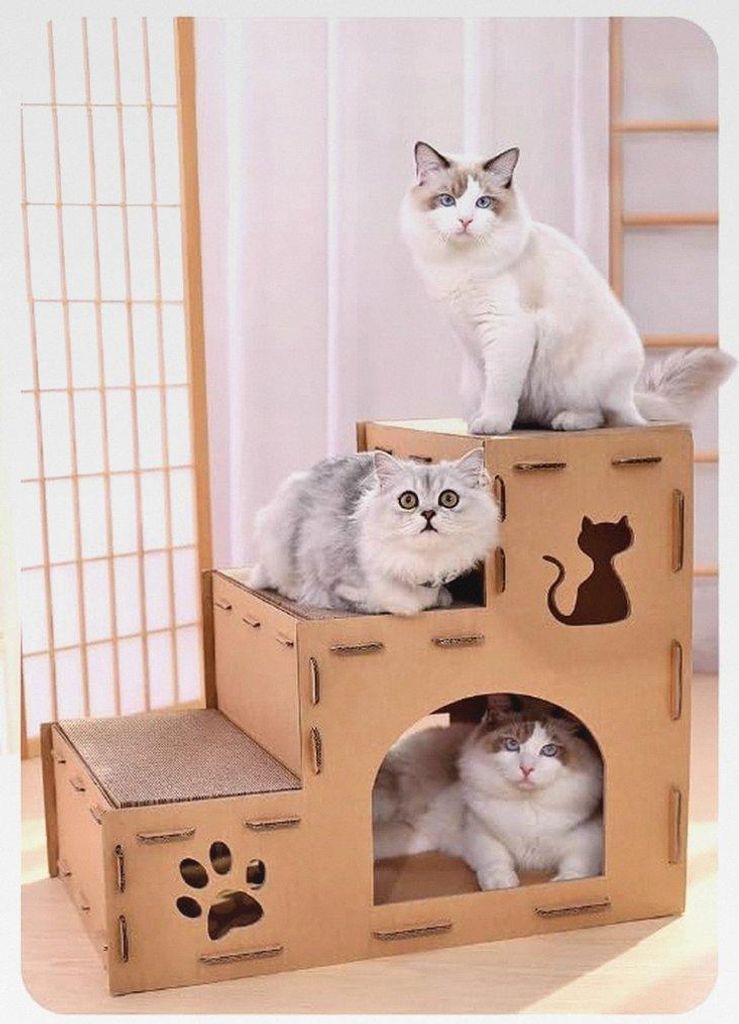 Papp-Katzenhaus - Zweistöckige Katzenhöhle aus Pappe - Stecksystem - Leichtes Design - Kombination aus Kratzbaum, Bett und Spielbereich in einem ...