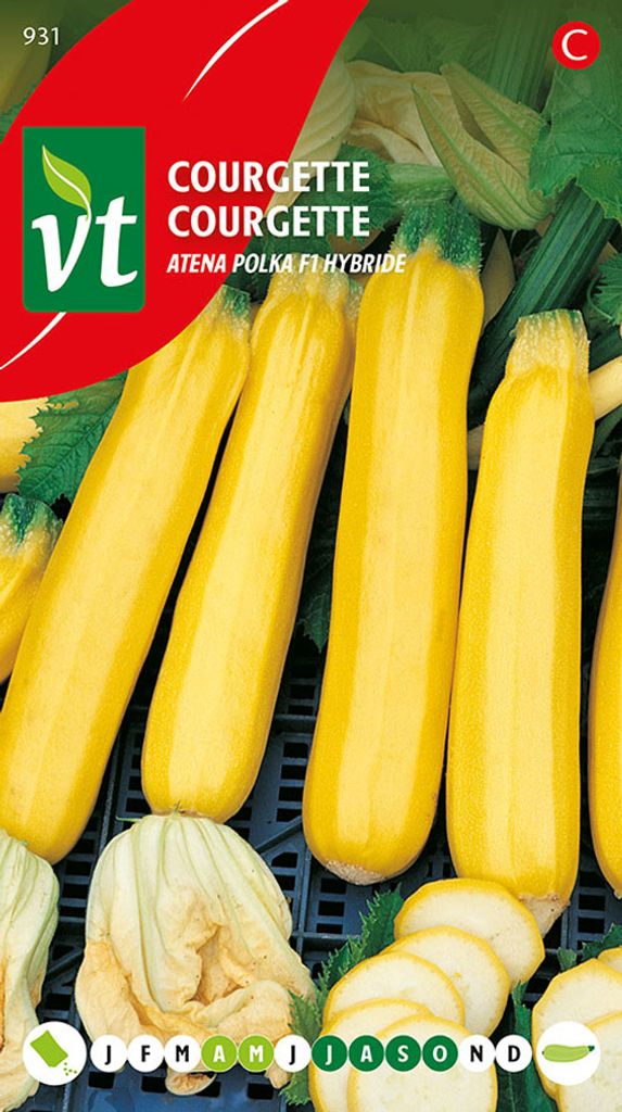 Zucchini Gelb Gold Rus F1 Samen - Ca. 1,5 gr | VT_931