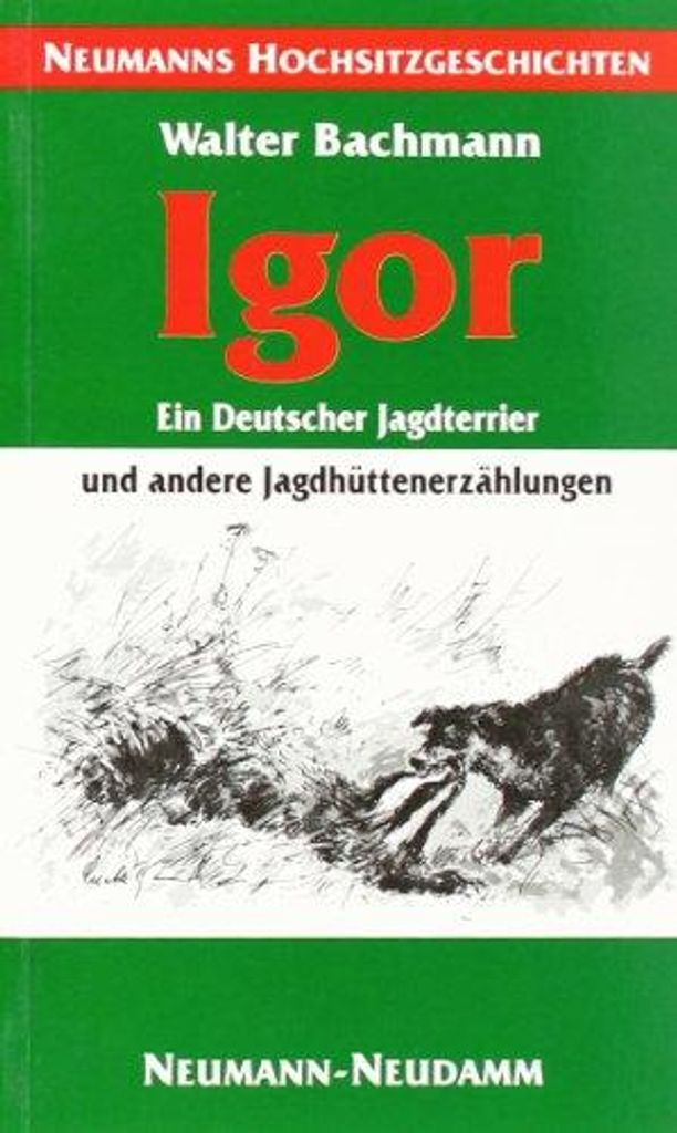 Igor - ein Deutscher Jagdterrier