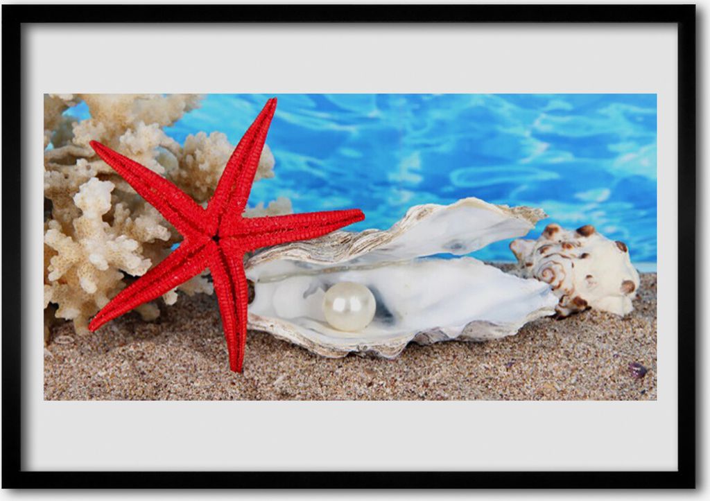 Bild 100x70 MDF-Rahmen Wandkunst Seestern Shells Natur