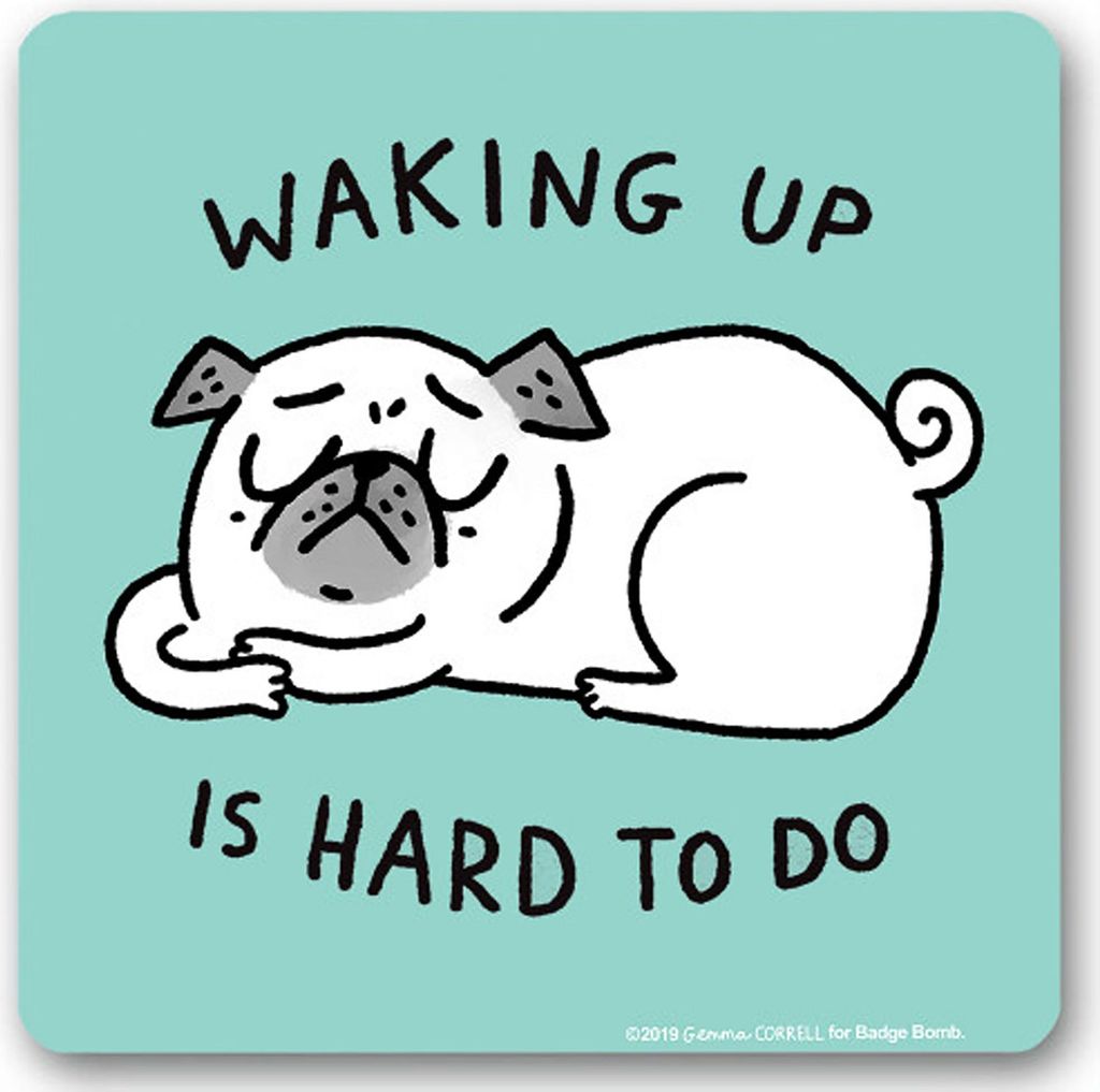 Untersetzer Gemma Correll Hund Katze Spruch Waking up is hard to do Bieruntersetzer Glasuntersetzer