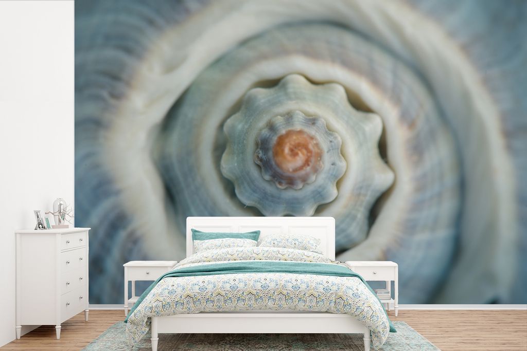 MuchoWow Fototapete für Wohnzimmer oder Schlafzimmer Wandtapete Vinyl Motivtapete Muschel - Nahaufnahme - Blau - 600x400 cm - Vinyltapeten