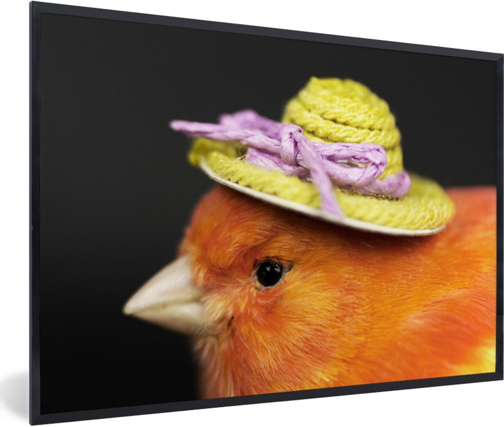 MuchoWow Gerahmtes Poster Vogel - Hut - Orange 90x60 cm - Poster mit Schwarzem Bilderrahmen Wandposter Rahmen Foto Bilder - Fotorahmen - Foto-Plakat