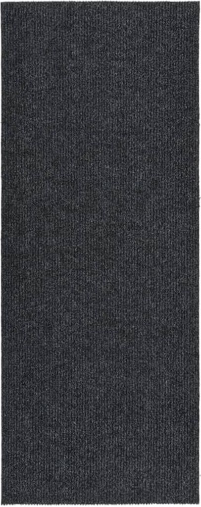 Schmutzfangläufer 100x250 cm Anthrazit